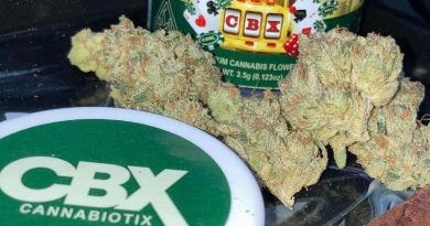 casino kush by cannabiotix strain review by sjweed.review