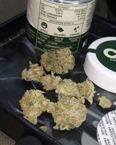 cereal milk by limited tree genetics strain review by sjweed.review 2