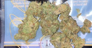 cookies and cream by mad cow genetics strain review by sjweed.review