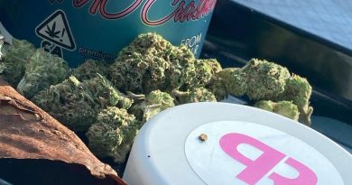 gmo crashers by pacific reserve strain review by sjweed.review
