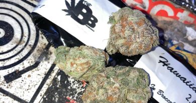 hawaiian punch by broccoli barrel strain review by sjweed.review