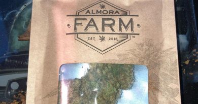 kush mint by almora farm strain review by sjweed.review