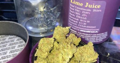 lime juice by esensia gardens strain review by sjweed.review