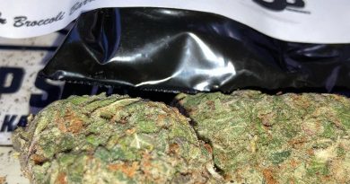 mental floss by broccoli barrel strain review by sjweed.review