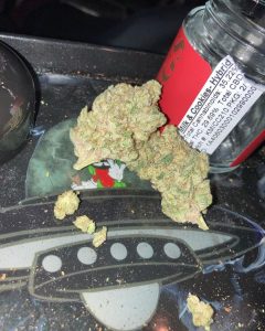 milk and cookies by artisan canna cigars strain review by sjweed.review