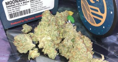 moonana wreck by fig farms strain review by sjweed.review