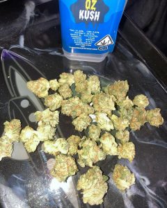 oz kush by little but loud strain review by sjweed.review 2