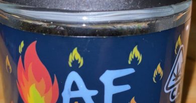 sunset sherbert by fire af strain review by trunorcal420