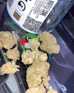 waffle cone by kingston royal strain review by sjweed.review 2