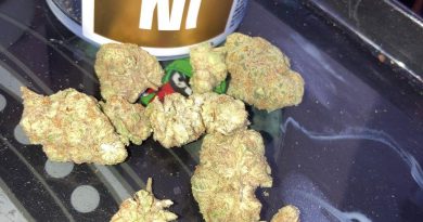 waffle cone by kingston royal strain review by sjweed.review