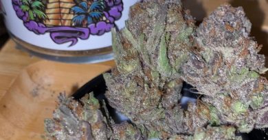 acapulco gold by rio vista farms strain review by trunorcal420 2