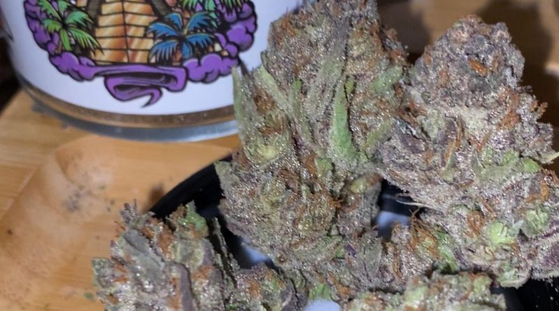acapulco gold by rio vista farms strain review by trunorcal420 2