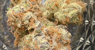afghani pie by jahfrenchkush strain review by jean_roulin_420