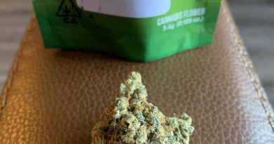 animal face by seed junky genetics strain review by christianlovescannabis