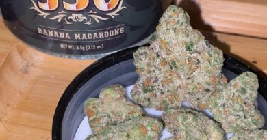 banana macaroons by 530 grower strain review by trunorcal420