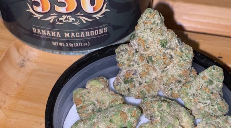 banana macaroons by 530 grower strain review by trunorcal420