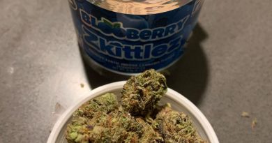 blooberry zkittlez by seven leaves strain review by christianlovescannabis