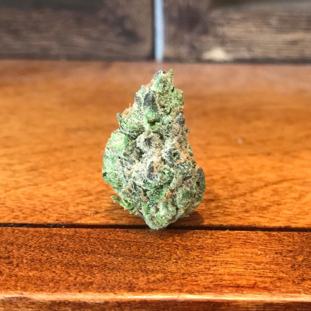 Strain Review: Blue Burst by STIIIZY - The Highest Critic