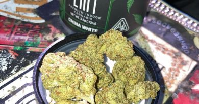 china white by stiiizy strain review by sjweed.review
