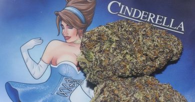 cinderella by trufflez strain review by bigwhiteash