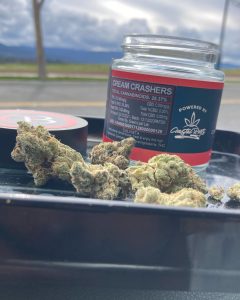 cream crashers by connoisseurz brand strain review by sjweed.review 2
