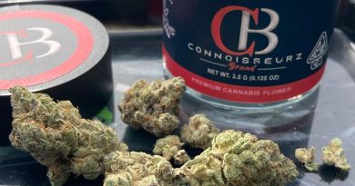 cream crashers by connoisseurz brand strain review by sjweed.review