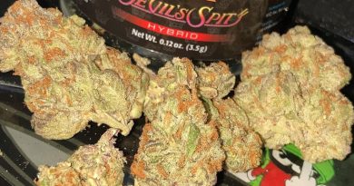 devil's spit by king klone strain review by sjweed.review