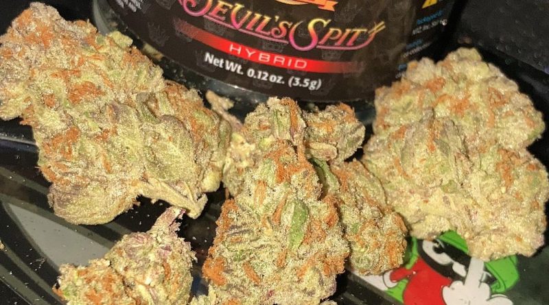 devil's spit by king klone strain review by sjweed.review