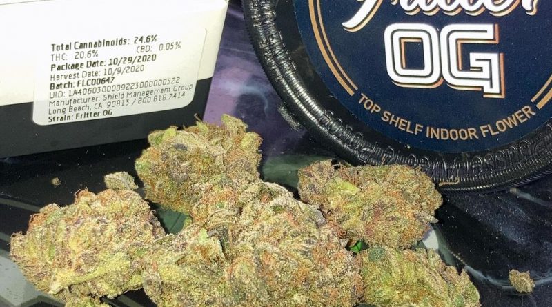 fritter og by west coast cure strain review by sjweed.review
