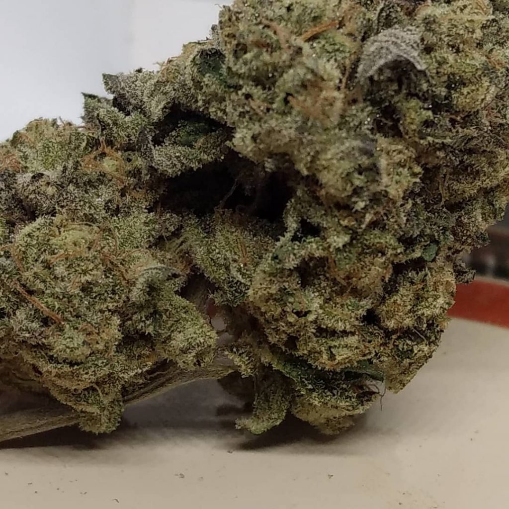 amberlight cannabis amberlight cannabis