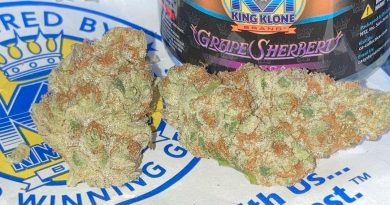 grape sherbert by king klone strain review by sjweed.review