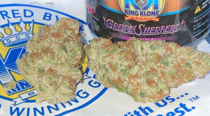grape sherbert by king klone strain review by sjweed.review