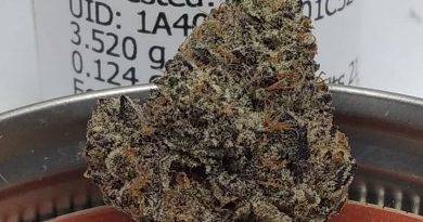 ice cream cake by eugreen farms strain review by pdxstoneman
