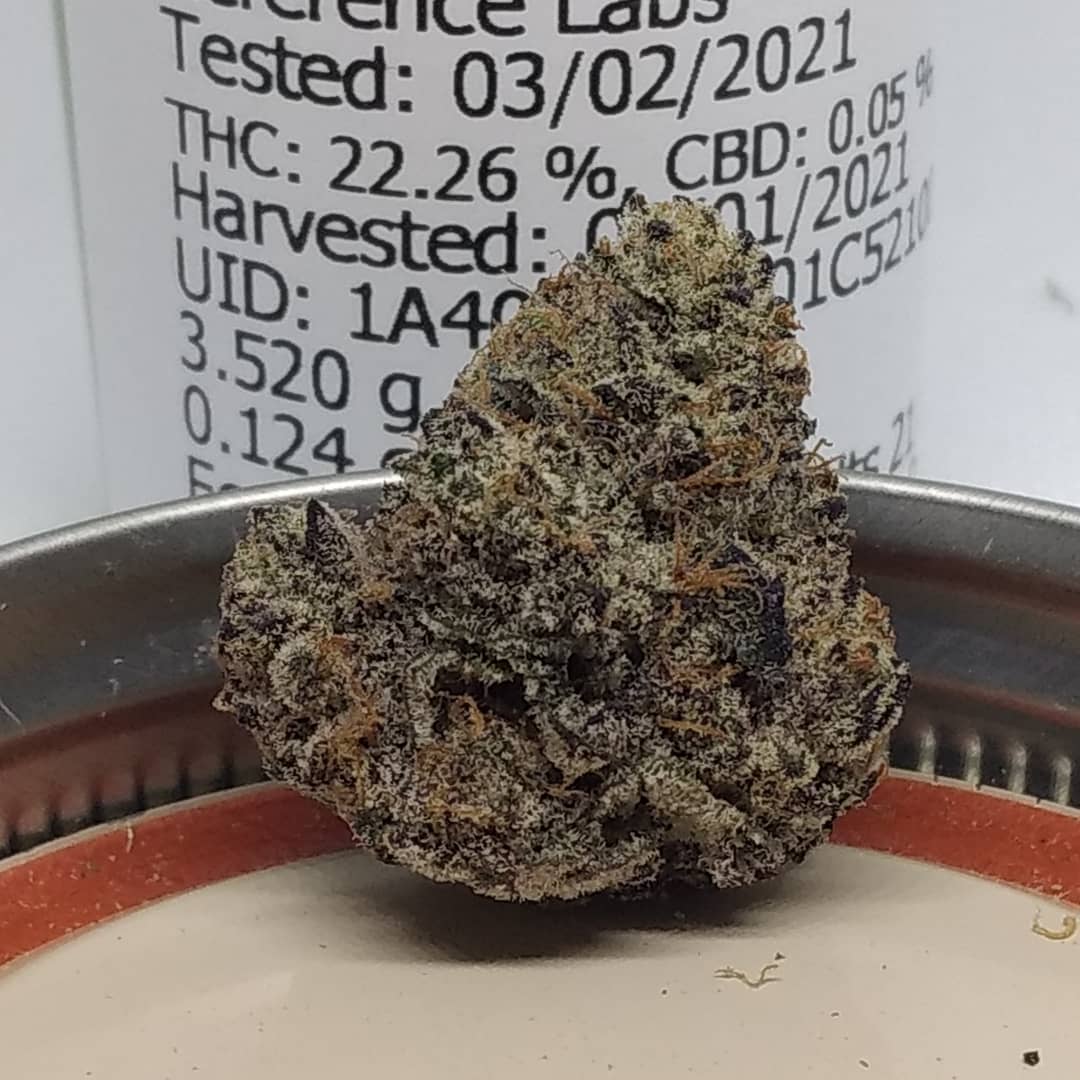 cresco ice cream cake strain