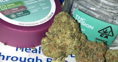 ice cream cake by thc design strain review by sjweed.review