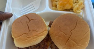 infused mac n cheese and pulled pork sliders by bdizzbakes edible review by sjweed.review