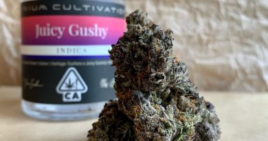 juicy gummy by atrium cultivation strain review by christianlovescannabis