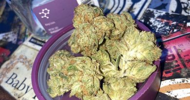 king louis by thc design strain review by sjweed.review
