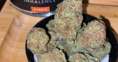 lava cake by inhalence strain review by trunorcal420