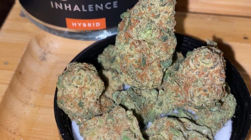 lava cake by inhalence strain review by trunorcal420