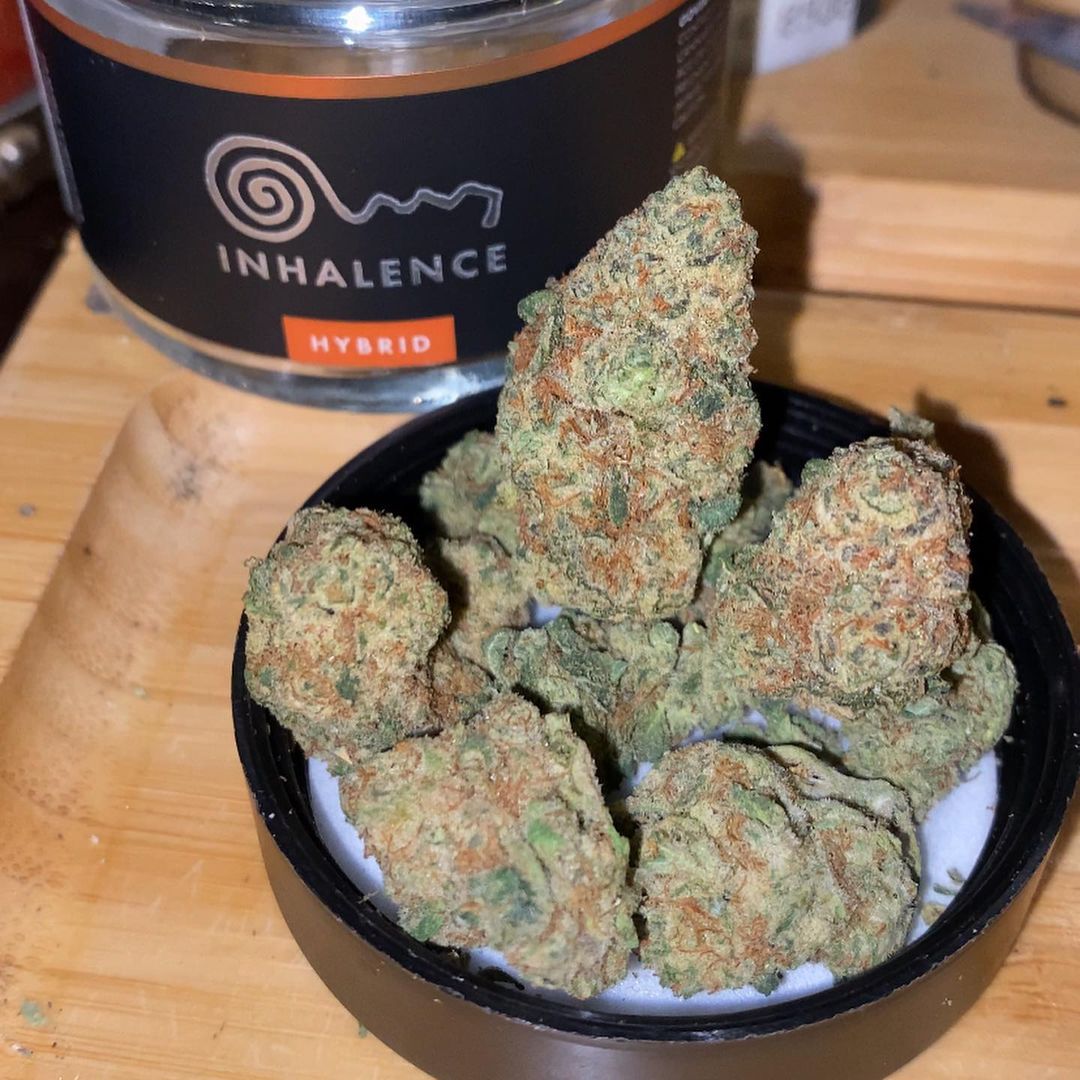 Strain Review: Lava Cake by inhalence - The Highest Critic.