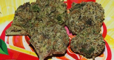 lemon cherry frittlez by f.r.i.t.z. strain review by bigwhiteash 2