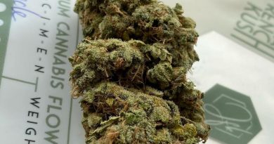 melonade by jahfrenchkush strain review by jean_roulin_420