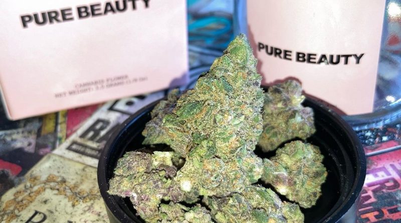 mendo breathmendo breath by pure beauty strain review by sjweed.review by pure beauty strain review by sjweed.review