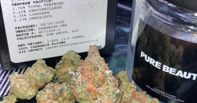 mister sunday by pure beauty strain review by sjweed.review