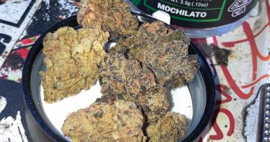 mochilato by stiiizy strain review by sjweed.review