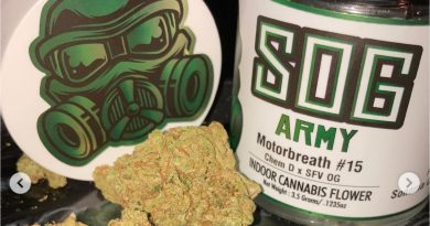 motorbreath 15 by sog army strain review by sjweed.review