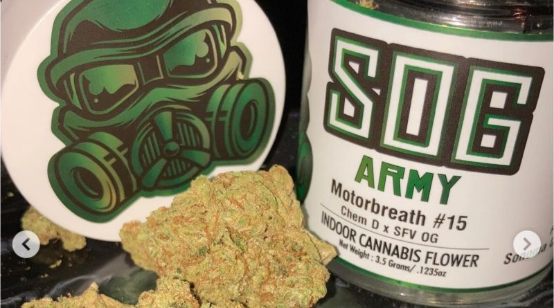 motorbreath 15 by sog army strain review by sjweed.review