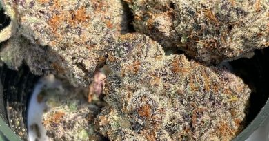 peanut butter breath by south bay connetics strain review by sjweed.review