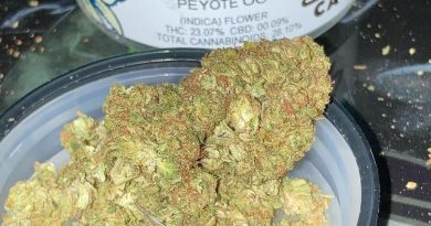 peyote og by cypress cannabis strain review by sjweed.review